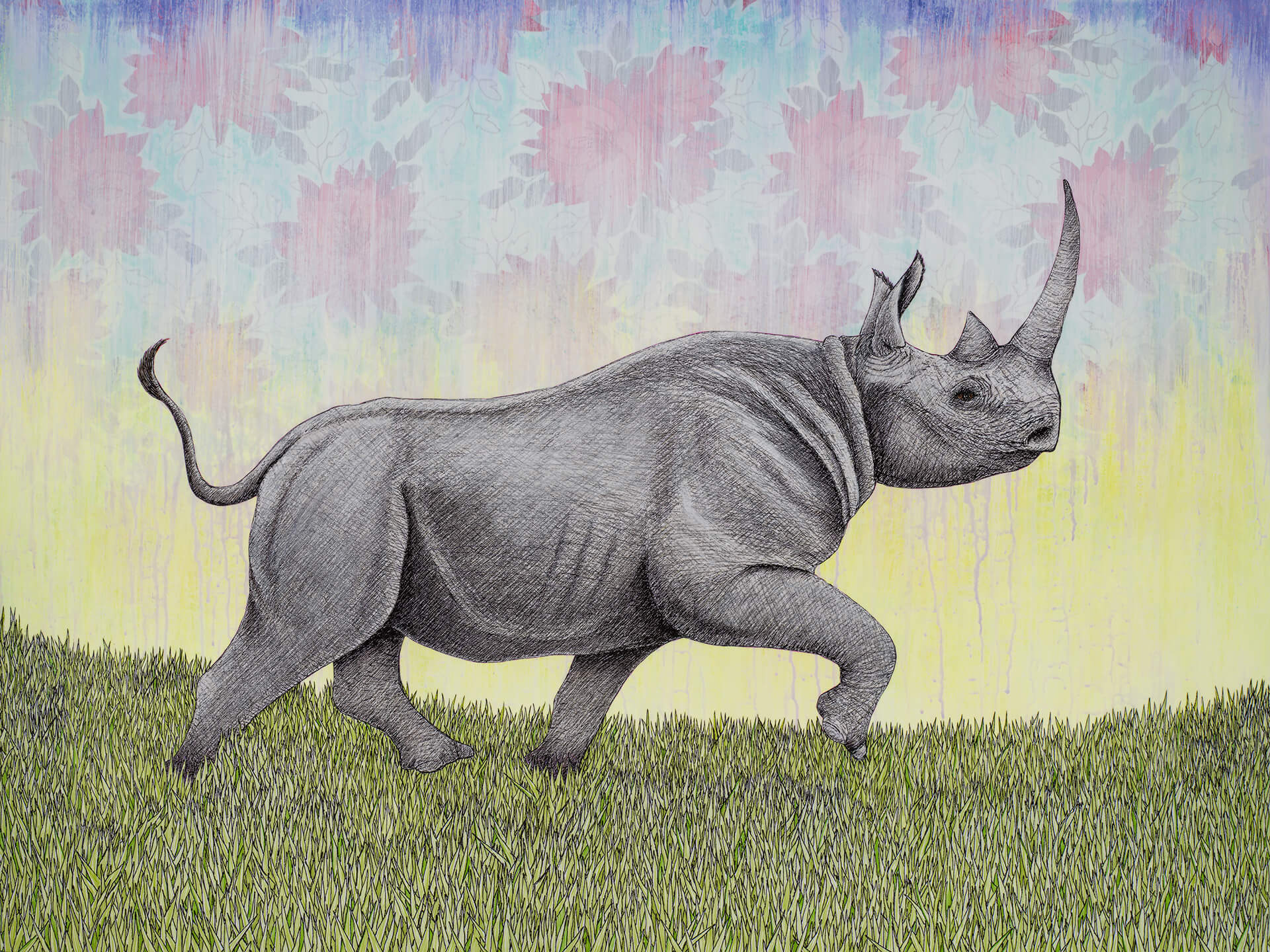 ‘Rhino’, 40” x 30”, SOLD $600