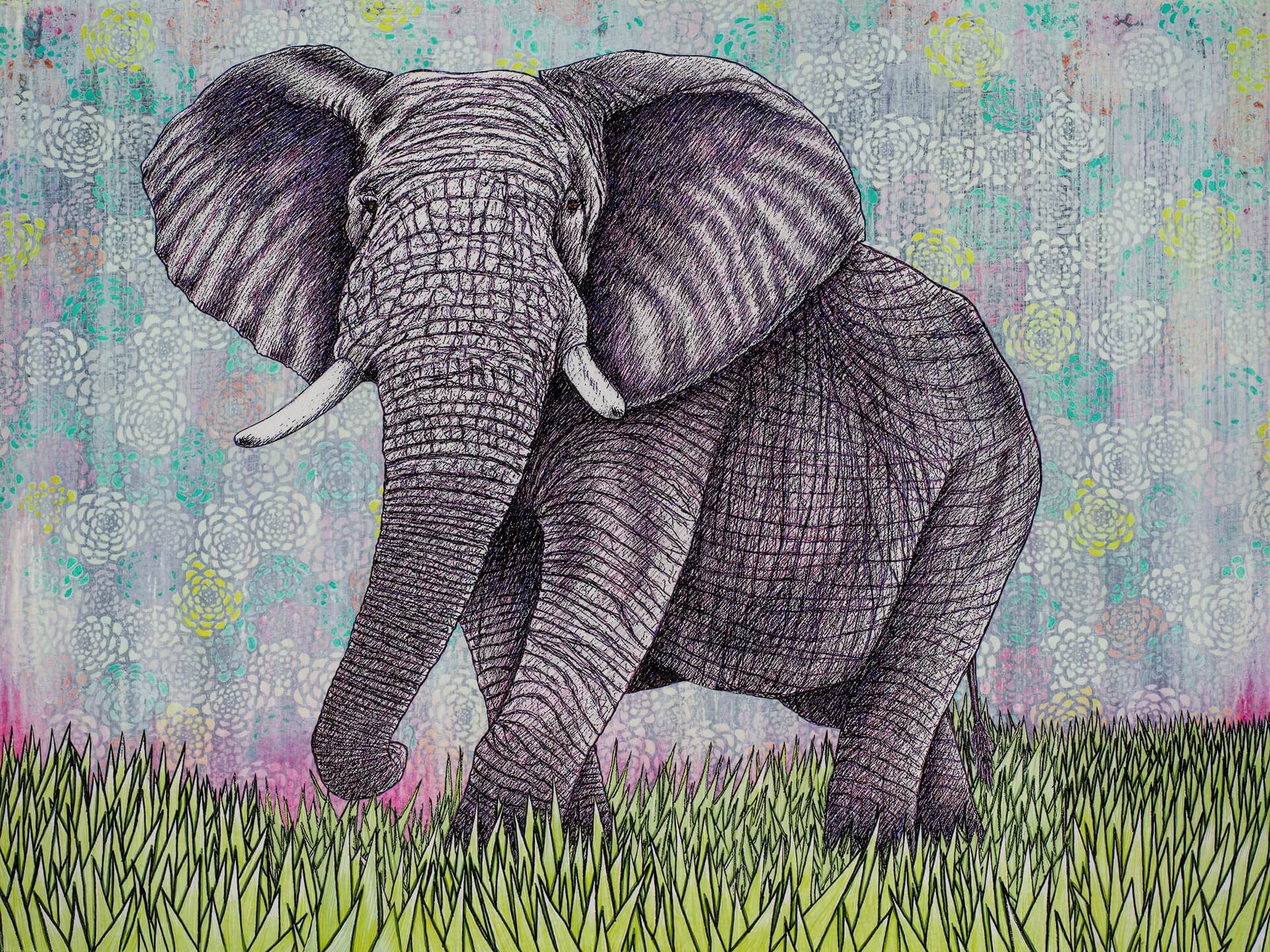 ‘Elephant’, 40” x 30”, $800