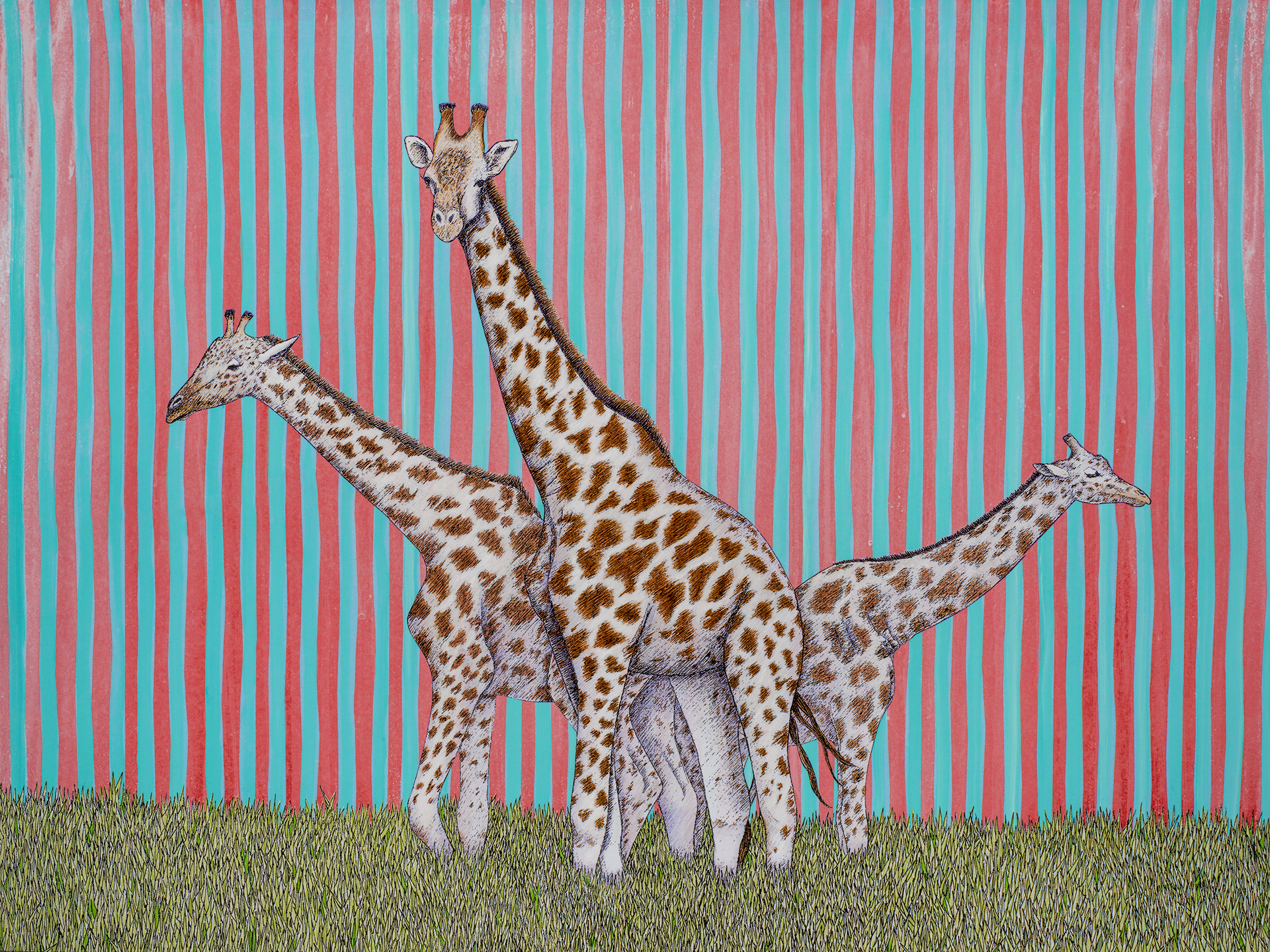 ‘Giraffes (3 of a Kind)’, 40” x 30”, $800