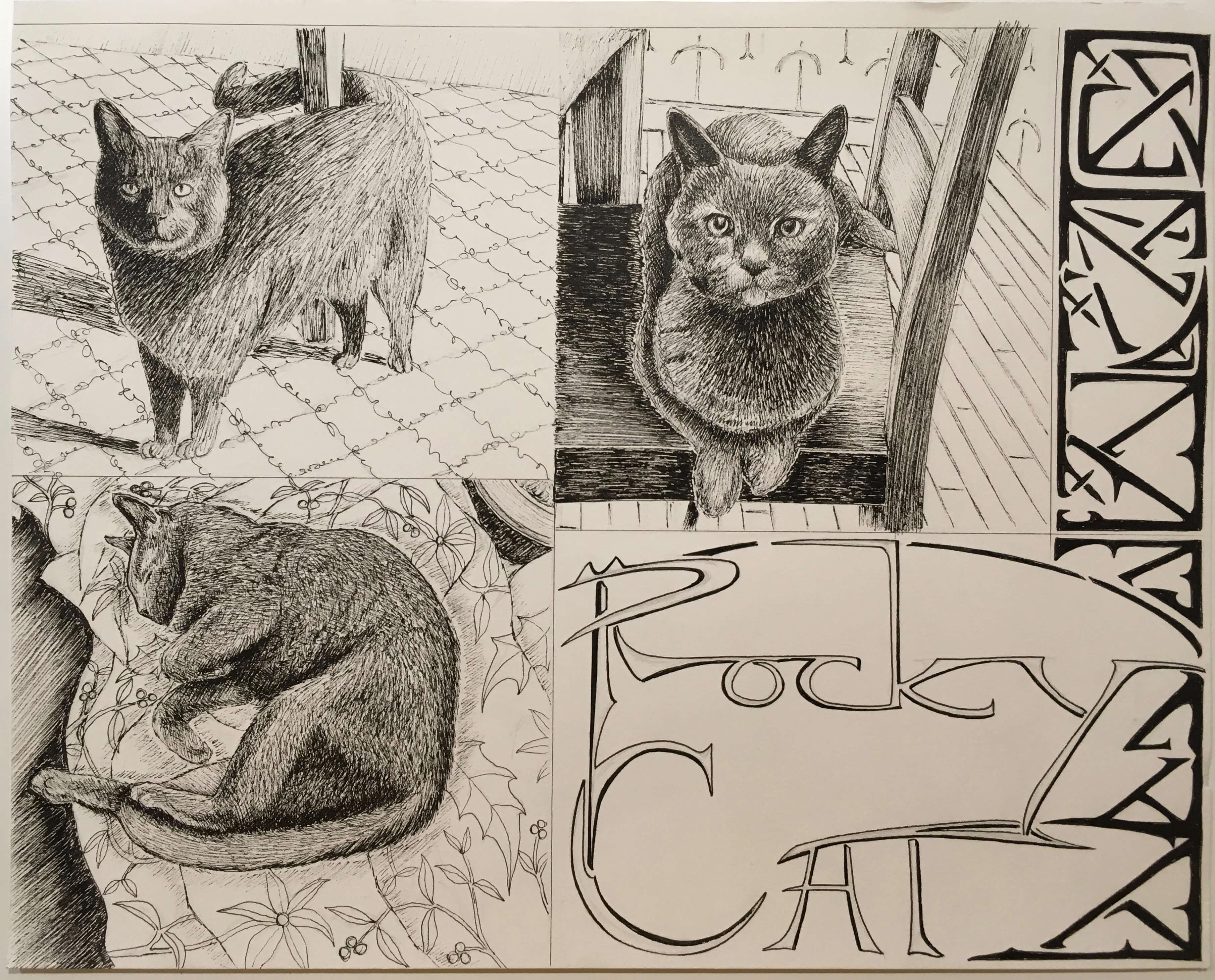 ‘Rocky Cat’- 14” x 11” drawings (from photos) – pencil and Sakura pens.